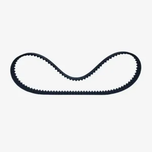 CORREA TIEMPO TURPIAL